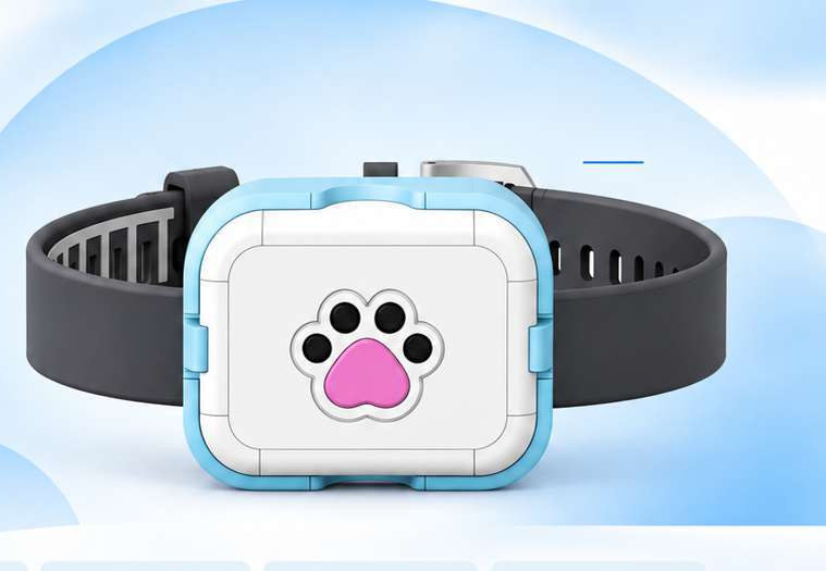 Smart Pet Collar